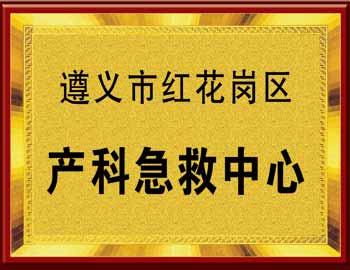 奖牌60-40产科急救中心副本.jpg