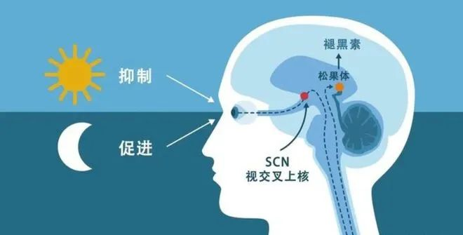 微信图片_20240516142049.png