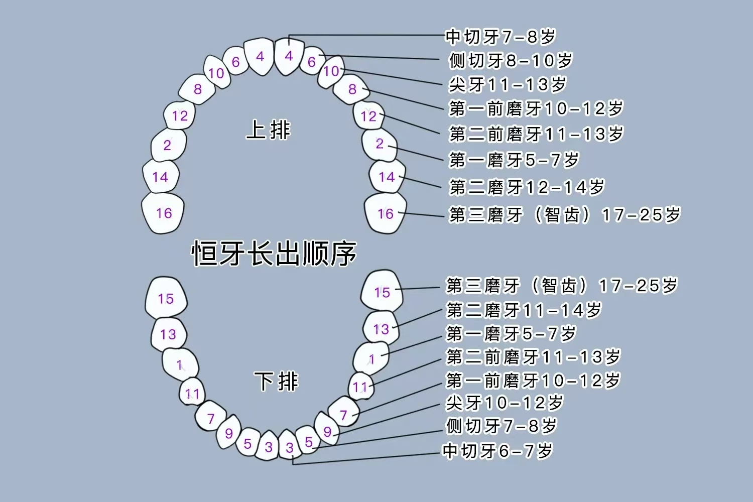 微信图片_20241016150517.jpg