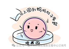 新鲜移植or冷冻移植，何去何从？95.png